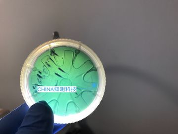 ราคาดี 2 นิ้ว 6H-N ซิลิกอนคาร์ไบด์เวเฟอร์ประเภท MPD 50 ซม. 330um SiC คริสตัลเวเฟอร์หลอมโลหะ ออนไลน์